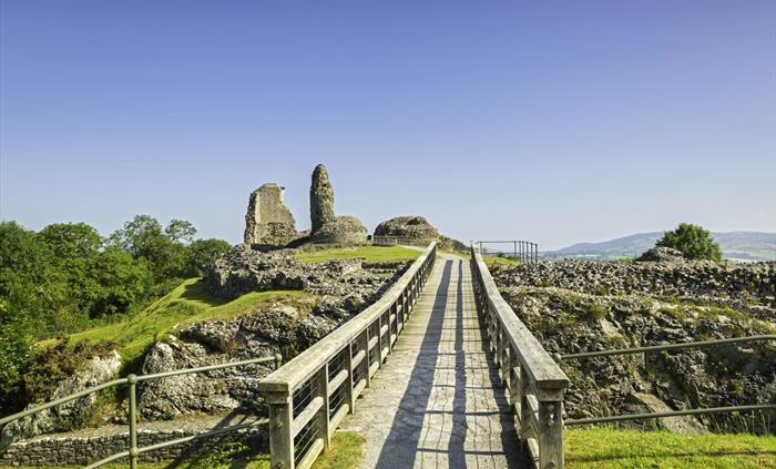 Montgomery Castle